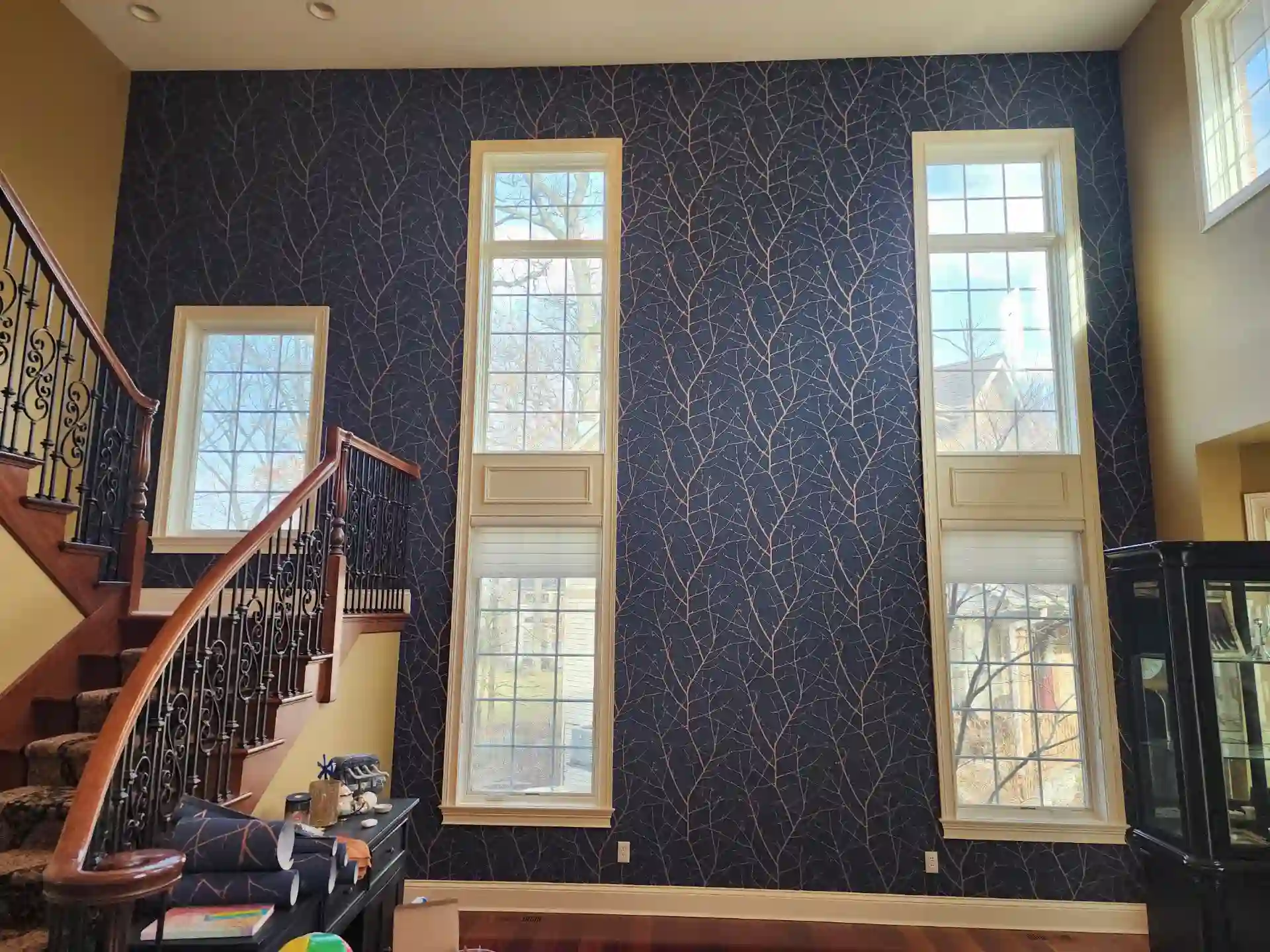 Dark branching pattern across the walls of a stair hall